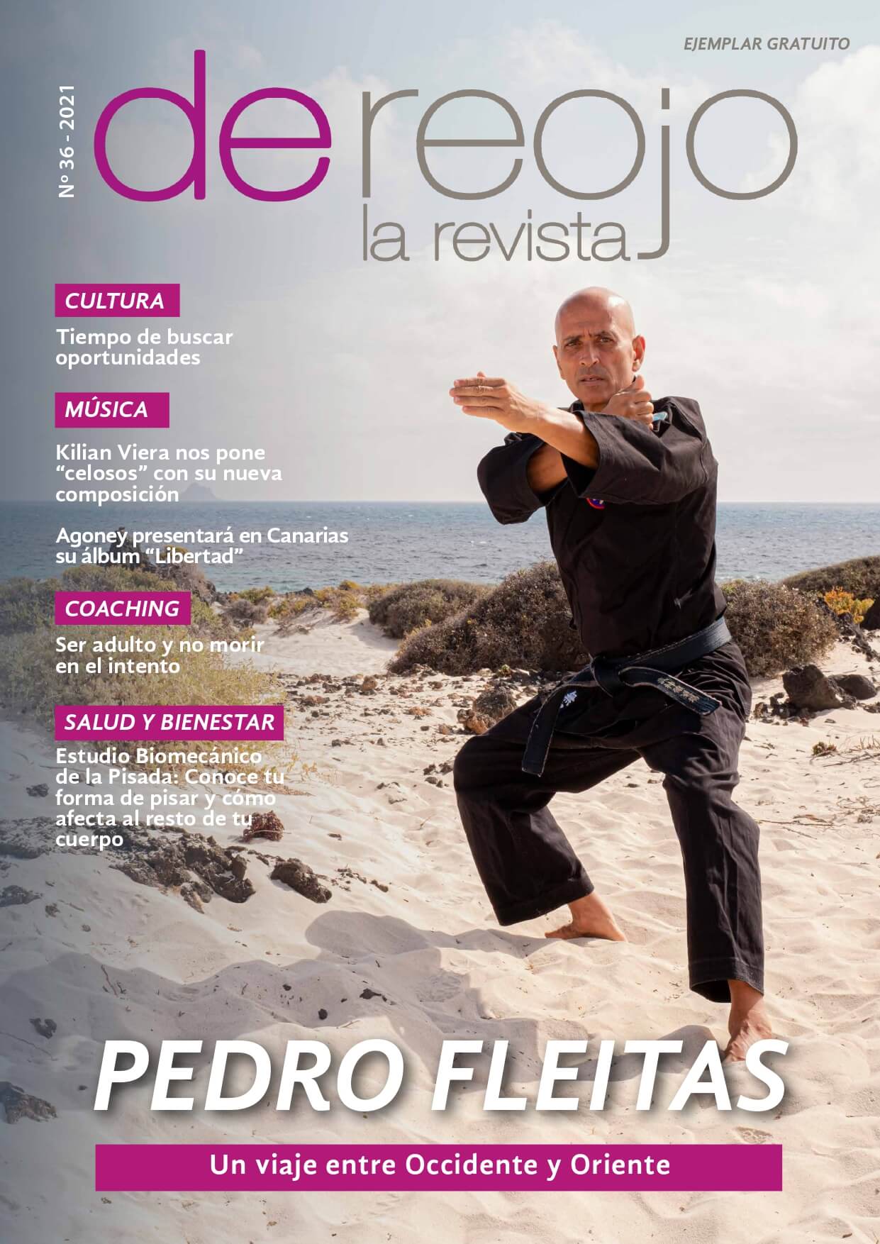 Revista