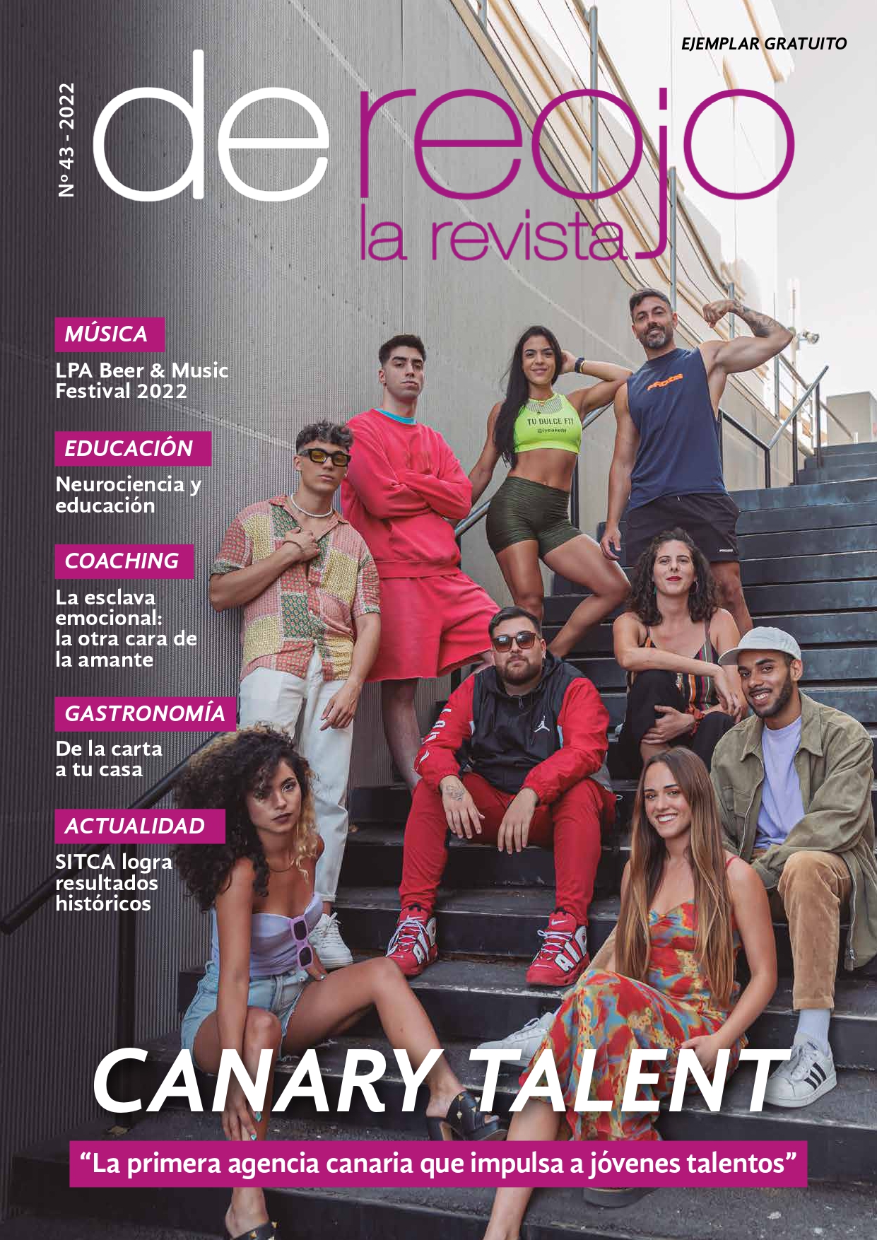 Revista