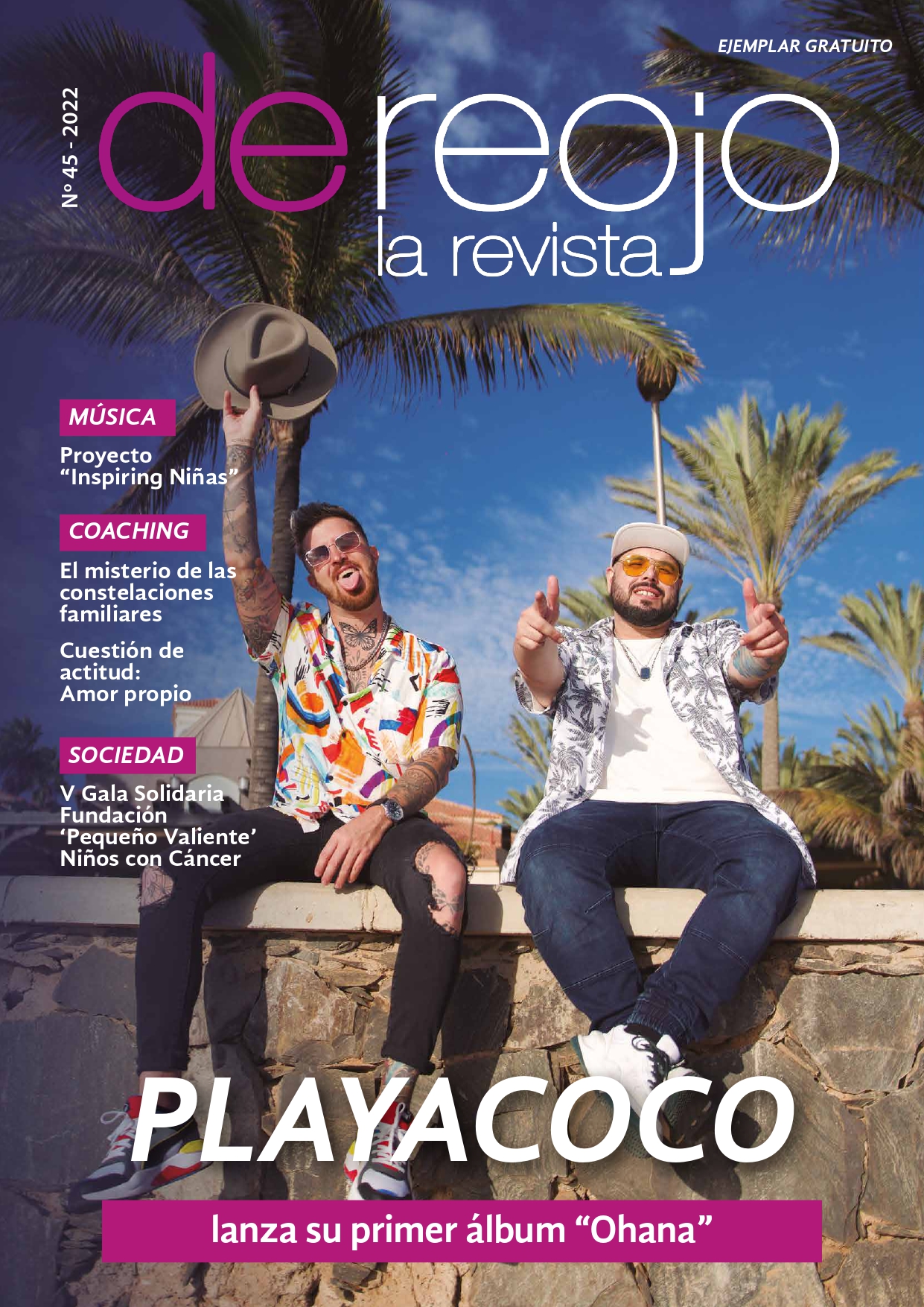 Revista